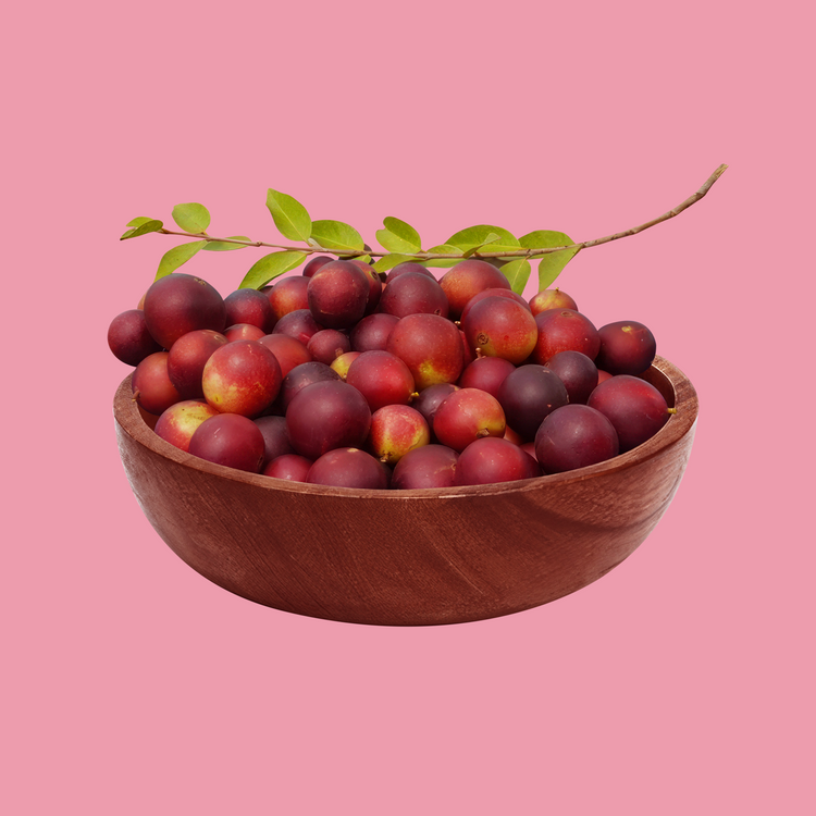 Camu fruta